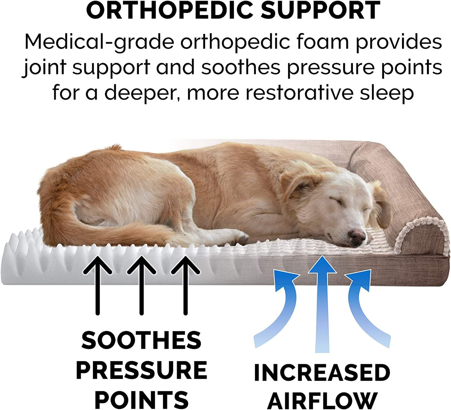 Orthopedic Dog Bed