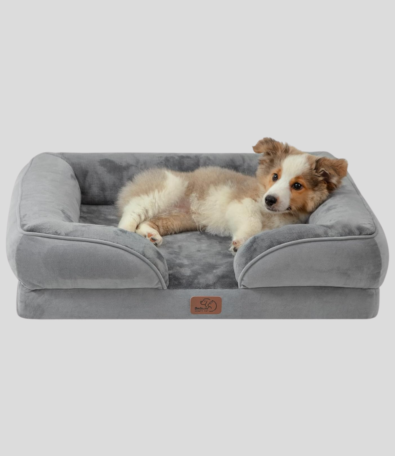 Orthopedic Dog Bed