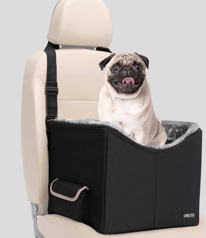 Elevated Dog Car Seat