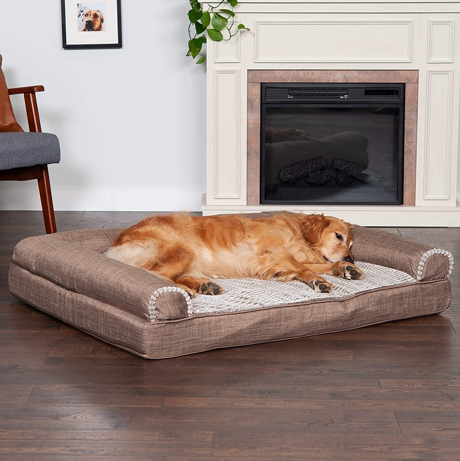 Orthopedic Dog Bed